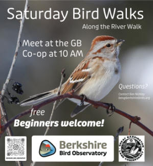 Guided Bird Walks on the Riverfront Trail hosted by Ben Nickley, Berkshire Bird Observatory 
