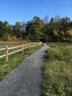 Riverfront Trail (photo by Sharon Siter) 