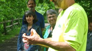Trail Connections are Powerful! All are invited to attend GBLC Annual Meeting and Guided Tree Walk Saturday June 13th at 2 PM