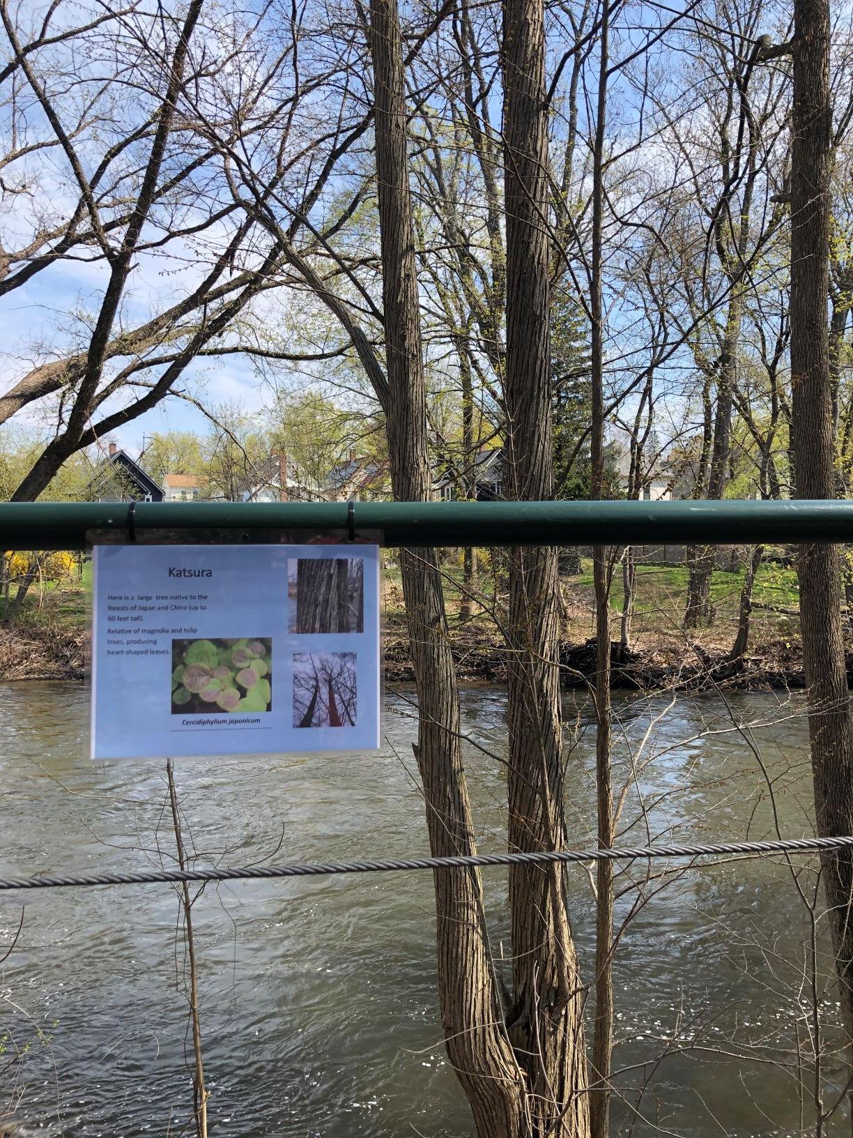 Enjoy a self-guided tree walk on the upstream section of River Walk