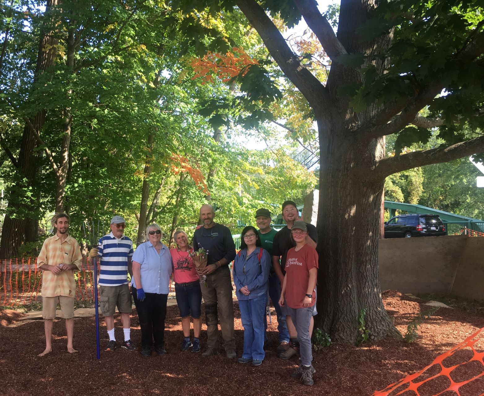 On September 28th, twelve dedicated volunteers donned work gloves, grabbed tools and got to work to save a large red oak tree located between River Walk and the old Searles School. This effort was led by River Walk a project of Great Barrington Land Conservancy. 