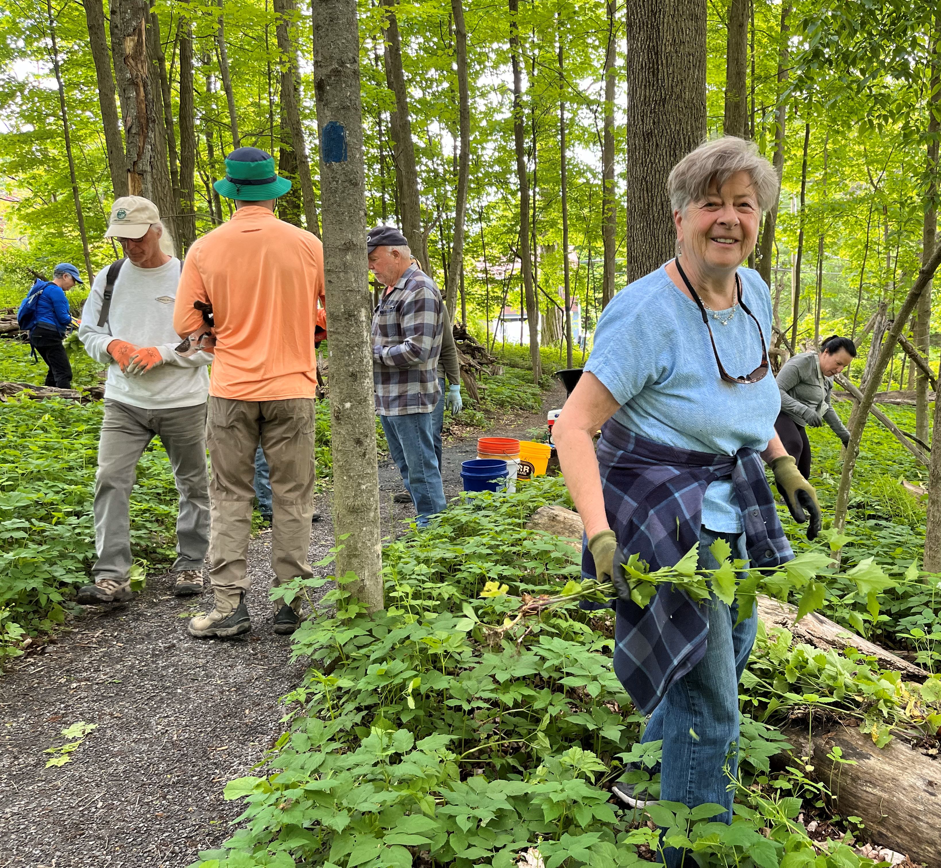 Great Barrtington Land Conserancy hosts volunteers in the Lake Mansfield Conservation Forest on Saturday May18th - What a Work Party! 
