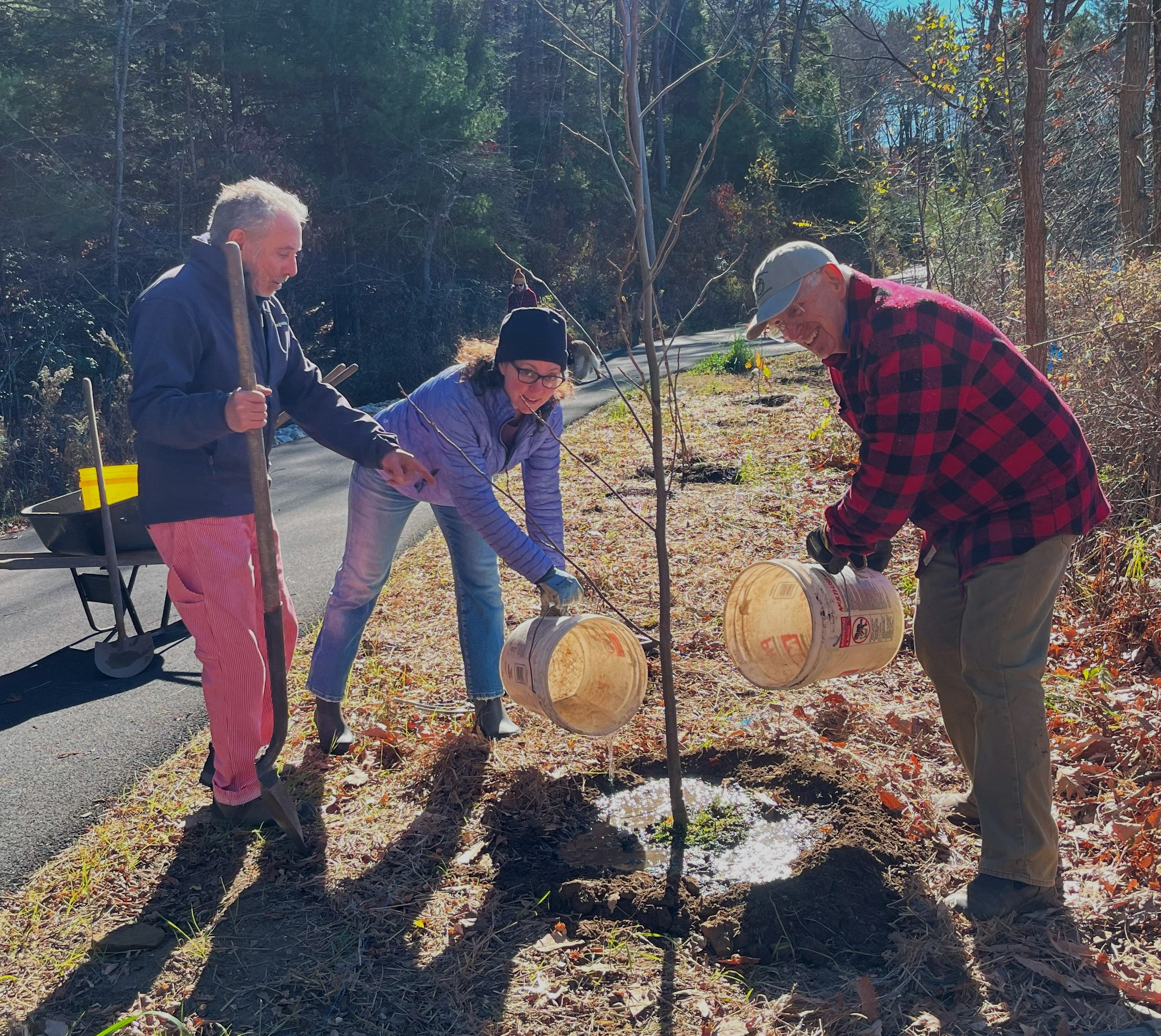 Lake Mansfield volunteer work party sponsored by Great Barrington Land Conservancy