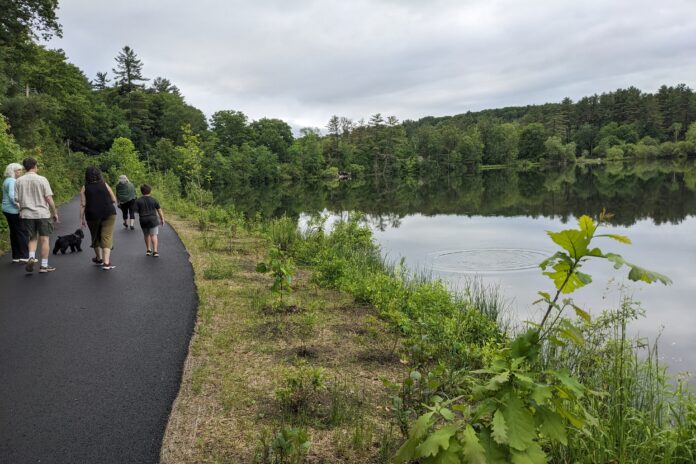photo by Kateri Kosek, Berkshire Edge. What used to be a thru road around Lake Mansfield is now a pedestrian walkway, which Great Barrington Land Conservancy volunteers have buffered with hundreds of native plants. They will not only provide habitat but filter the water that runs into the lake. "Notice all the people walking up from the Great Barrington neighborhood," remarked board Treasurer Jane Angelini at the June 7 fundraiser. Photo by Kateri Kosek.