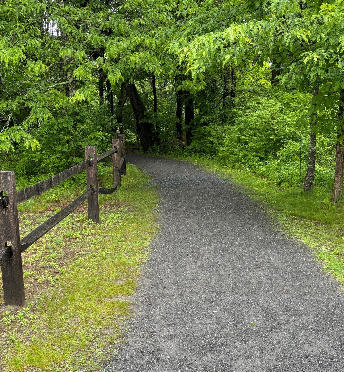 Great Barrington Land Conservancy meditation walks along the Riverfront Trail in July with GBLC member Nelson Wyman. 