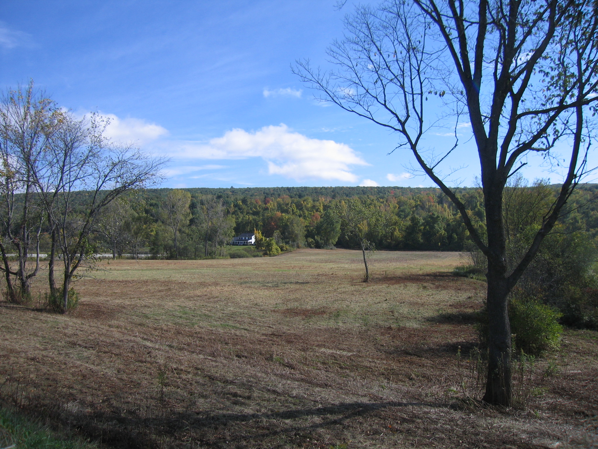 Ladd Property is donated to Great Barrington Land Conservancy 
