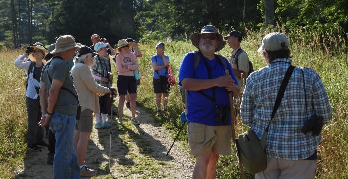 July 2024 - Great Barrington Land Conservancy, the Hoffmann Bird Club and Bershire Bird Observatory are focused on Bobolinks at the Mc Allister Wildlife Refuge in Great Barrington