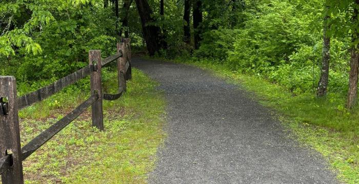 Great Barrington Land Conservancy meditation walks along the Riverfront Trail in July with GBLC member Nelson Wyman. 