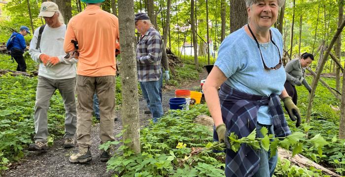 Fall Lake Mansfield Work Party - Forest Trails / Sat. Oct 31st at 9AM
