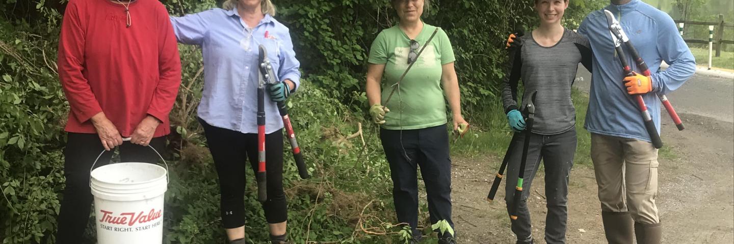 Lake Mansfield Volunteer Work Party/ Sat. September 19th at 9 AM 