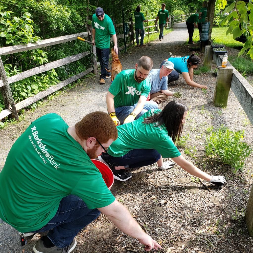 Berkshire Bank volunteers pitched in to make a tremendous difference at River Walk again this year.