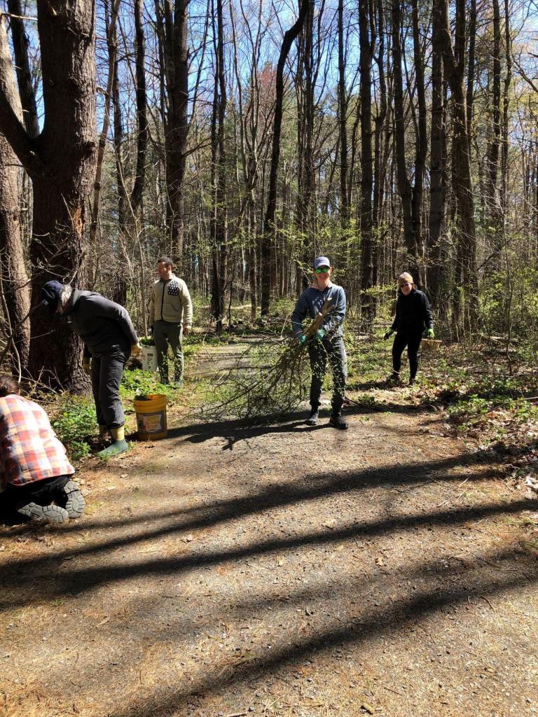 A big part of our morning work session was dedicated to removing invasive species like burning bush and garlic mustard.