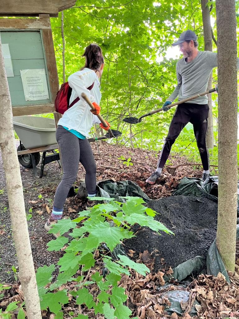 Along with the habitat work, volunteers focused on improving the Christian Hill entrance area.  Stockpiled crushed stone was used to top-dress the weeded and trimmed entry way