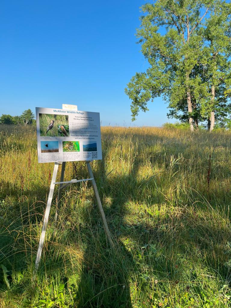 Our next step will be to permanently install education bobolink signage along the roadside at the McAllister Wildlife Refuge.