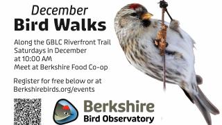 December Bird Walks Flyer BBO GBLC