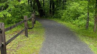 Great Barrington Land Conservancy meditation walks along the Riverfront Trail in July with GBLC member Nelson Wyman. 