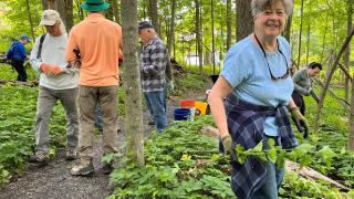 Fall Lake Mansfield Work Party - Forest Trails / Sat. Oct 31st at 9AM